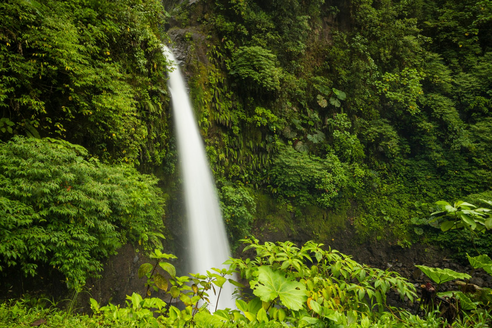 La Paz Majestic Waterfall Rainforest Costa Rica Scaled